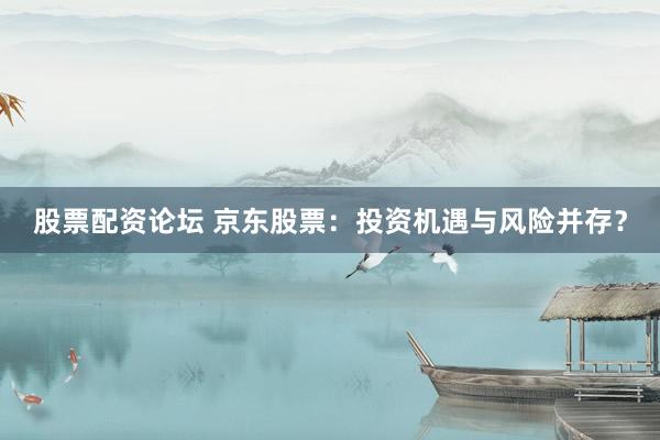 股票配资论坛 京东股票：投资机遇与风险并存？