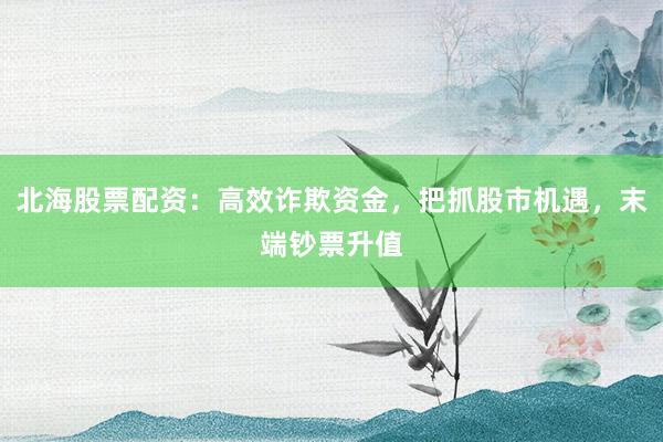 北海股票配资：高效诈欺资金，把抓股市机遇，末端钞票升值
