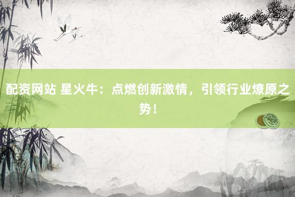 配资网站 星火牛：点燃创新激情，引领行业燎原之势！