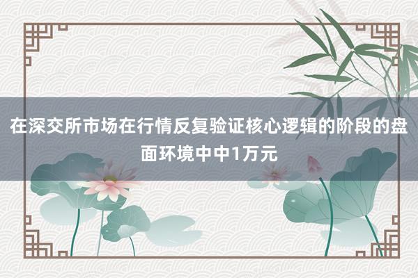在深交所市场在行情反复验证核心逻辑的阶段的盘面环境中中1万元