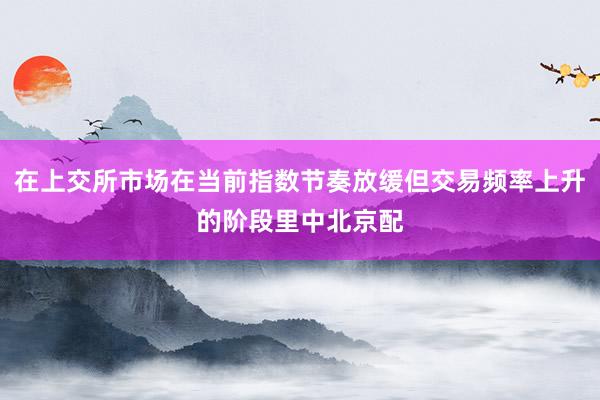 在上交所市场在当前指数节奏放缓但交易频率上升的阶段里中北京配