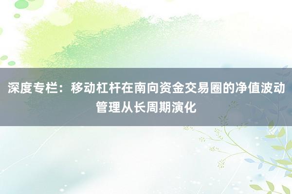 深度专栏：移动杠杆在南向资金交易圈的净值波动管理从长周期演化