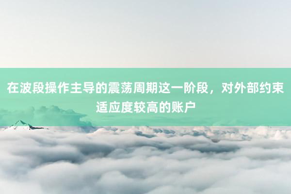 在波段操作主导的震荡周期这一阶段，对外部约束适应度较高的账户
