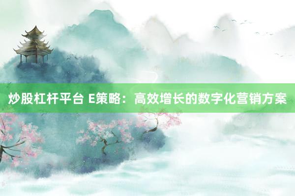 炒股杠杆平台 E策略：高效增长的数字化营销方案